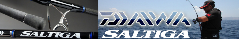 Daiwa Saltiga