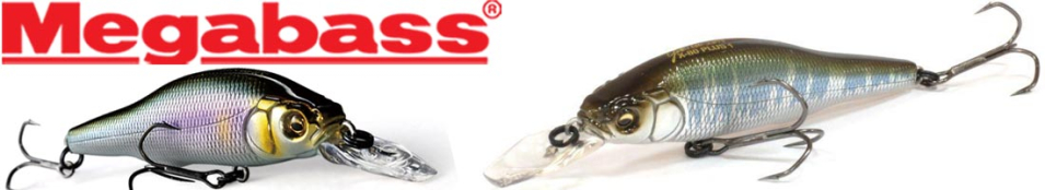 Megabass X-80 Plus 1