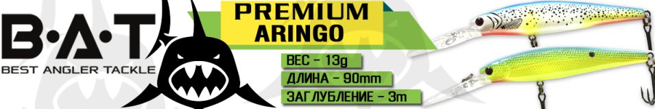 BAT Premium WB 06 ARINGO