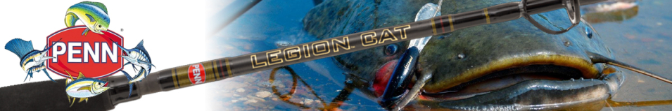 Penn Legion Cat Gold