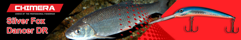 Chimera Silver Fox Dancer DR 100mm/15g