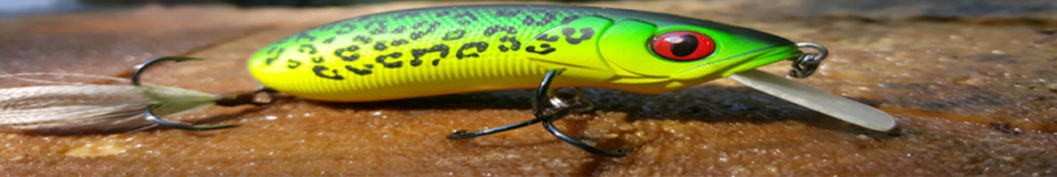 Lurefans Cunning Cub CC-70