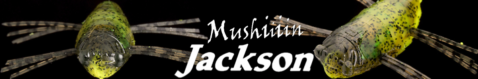 Jackson Mushiiiin 1,25"