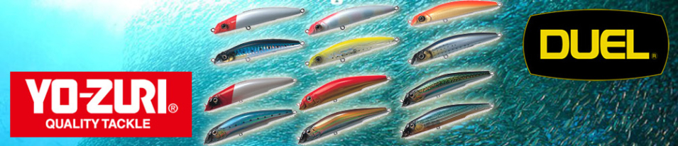 Duel Aile Magnet DB F658