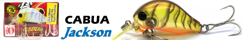 Jackson Cabua 38мм 6гр.