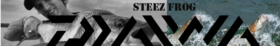 Daiwa Steez Frog