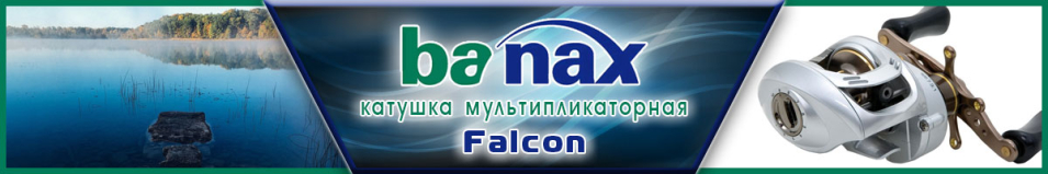 Banax Falcon