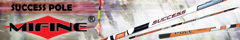 Mifine Success Pole Хлыст