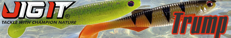 Jig It Trump 5.5" Squid