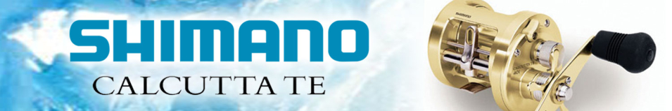 Shimano Calcutta TE