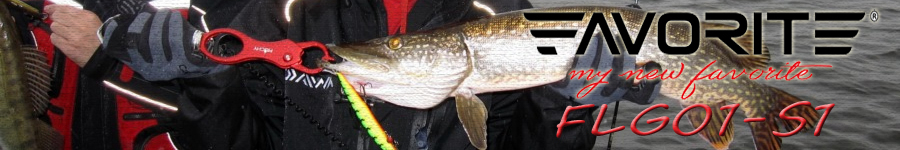 Favorite FLG01-S1