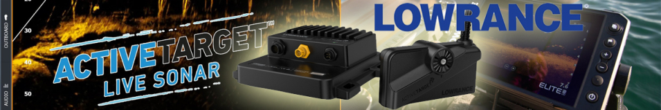 Lowrance Active Target Live Sonar