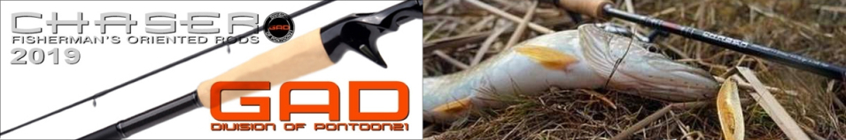 Gad Chaser 2019