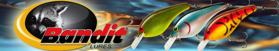 Bandit Shallow Flat Max            