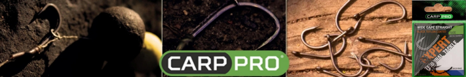 Carp Pro Black Teflon Wide Gape Straight