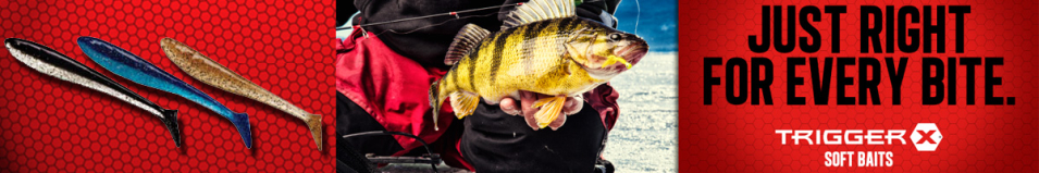 TriggerX MunMun Shad 50