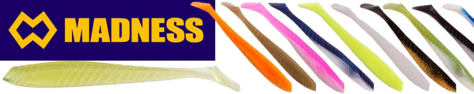 Madness Father Shad 6"