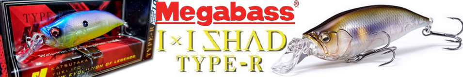 Megabass IxI Shad Type-R