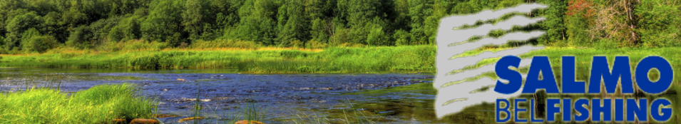 Бубенчики Salmo пара гроздь