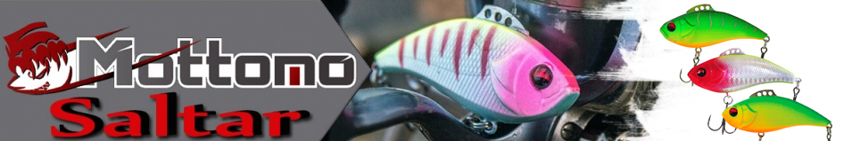 Mottomo Saltar 70S "3 в 1"