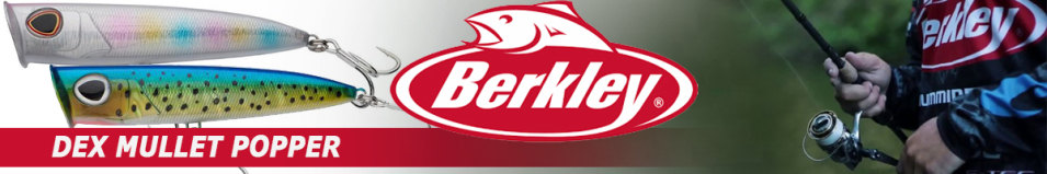 Berkley DEX Mullet Popper 14,5cm