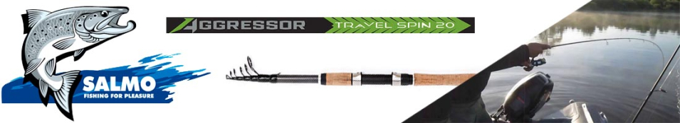 Salmo Aggressor Travel Spin 20