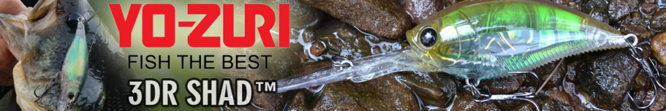 Yo-Zuri 3DR Shad (SP) 70mm R1312