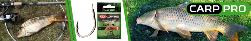 Carp Pro Black Nickel Blackpool Wide Gape Flat