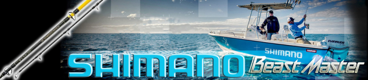 Shimano BeastMaster BX Down Rigger