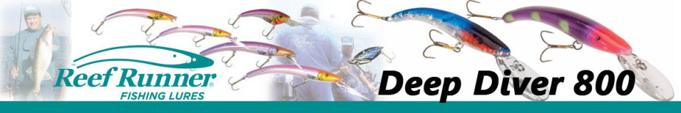 Reef Runner Deep Diver 800