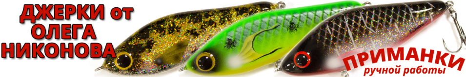 Bait Scout 150 S