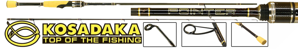 Kosadaka Pointer