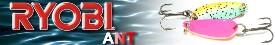 Ryobi ANT P160080 #4.5g