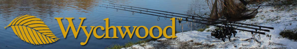 Wychwood Stainless Steel Bankstick 