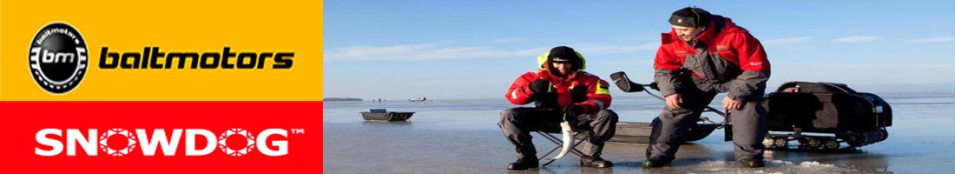 Baltmotors Standard S-R15MЕR-WR