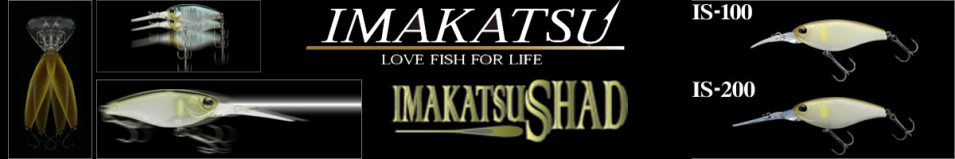 Imakatsu Shad IS-100