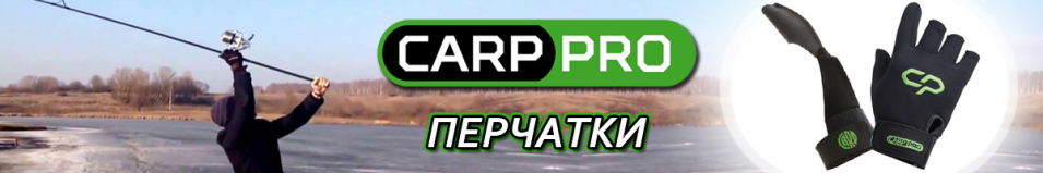 Carp Pro