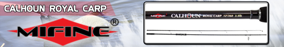 Mifine Calhoun Royal Carp