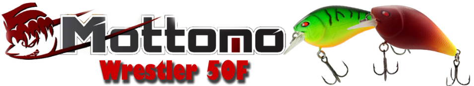 Mottomo Wrestler 50F