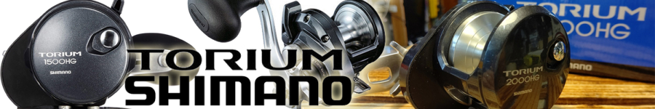Shimano 20 Torium