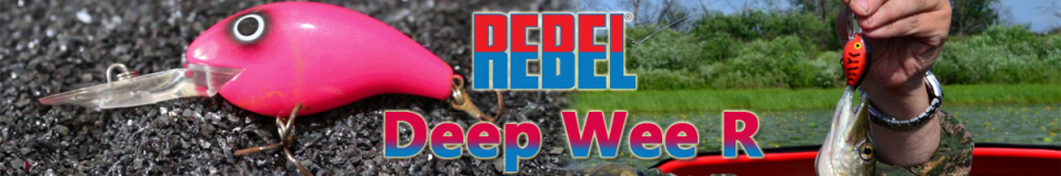 Rebel Deep Wee R