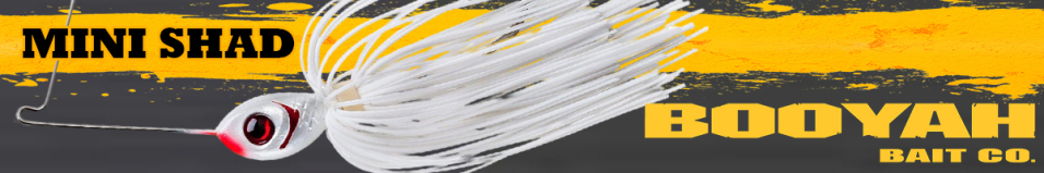 Booyah Mini Shad BYMS36