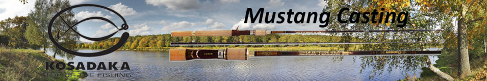 Kosadaka Mustang Casting