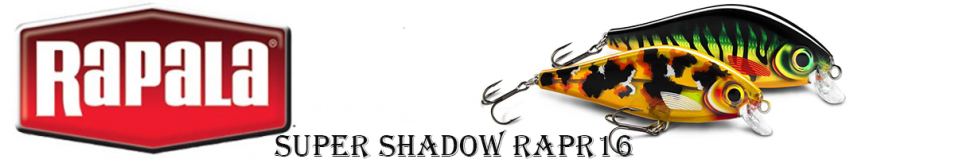 Rapala Super Shadow Rap SSDR16