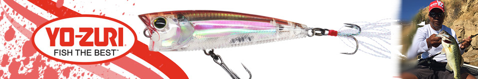 Yo-Zuri 3DR Popper (F) R1304