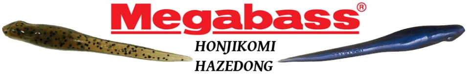 Megabass Honjikomi Hazedong 4.0"
