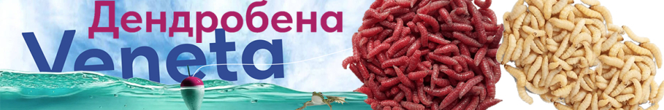 Опарыш Белый Средний 1000мл.