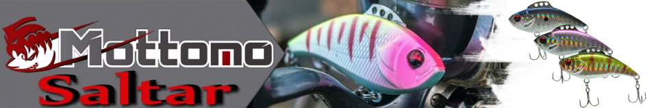 Mottomo Saltar 50S "3 в 1"