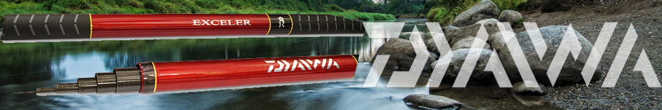 Daiwa Exceler EX