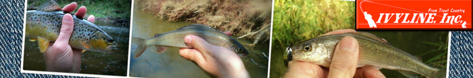 Ivyline Vlayde 41мм, 5гр